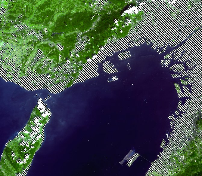 大阪湾の衛星画像。ビル、道路などは白黒の縞で消された。